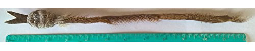CoolCyberCats Fun Rat Pack Snake Refill/Attachment - Fits Wildcat and Popular Bird and Mouse Type Wands/Poles