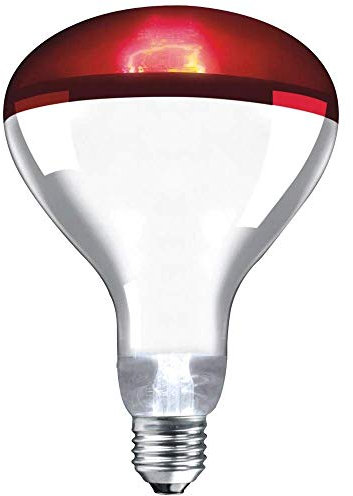 Crompton Lamps Infra-Red Reflector Lamp, E27, 250 W