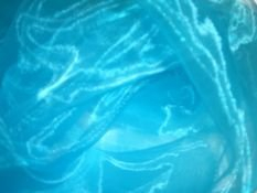 Organza Stoff Meterware türkis blau