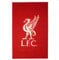 Home Win Liverpool Rug