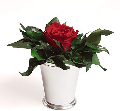 ROSEMARIE SCHULZ Heidelberg Infinity Blume in silberfarbenen Becher 1 ewige Rose konserviert Blumenstrauß langhaltend (Rot, 1 Rose)
