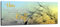 dalinda® XXL-Wandbild Bibelspruch Bibel Leinwand Leinwandbild mit Spruch Der Herr ist Mein Licht... 100x40cm Keilrahmenbild Kunstdruck Wandbild Panorama Leinwandbild LS129
