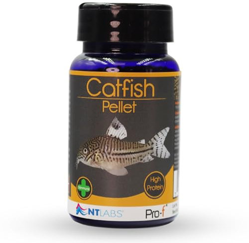 NT Labs Pro-f Catfish Pellet, Freshwater Catfish Food, Aquarium Fish Feed, Fast Sinking, Nutritious Food (60g)