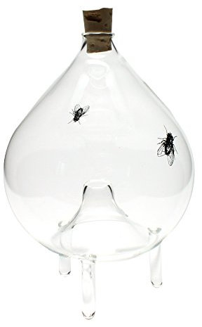 GlasXpert Fliegenfalle Obstfliegenfalle aus Glas stehend oval Fliegenfallen NUR noch OHNE Fliege lieferbar!!!!!!!!!!!!!!!!!