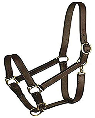 Gatsby Leather Company 283460 Leather Halter Havanna Brown, Weanling