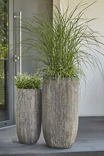 Klocke Dekorationsbedarf Hochwertige & Wunderschöne Pflanzvasen im 2er Set - Holzoptik/Holzstruktur - Fiberglas - Mit Einsatz – Indoor – Blumenkübel/Pflanzgefäß/Vase/Kübel (Grau)