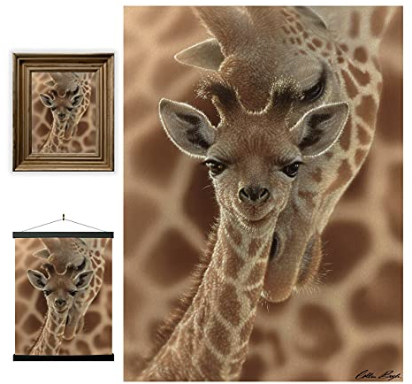 3D LiveLife Linsenförmige Wandkunst Drucke - Neugeborenes von Deluxebase. Ungerahmtes 3D Giraffe Poster. Perfekter Wandfüller. Original kunstwerk lizenziert von bekannt künstler, Collin Bogle