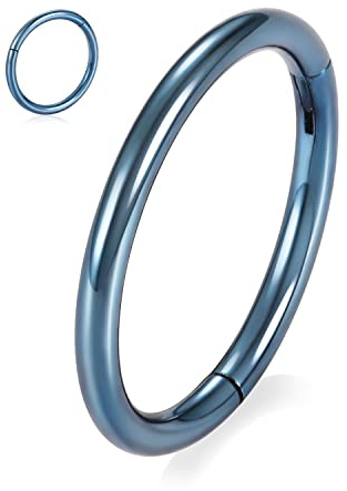 16G Nasenringe Hoop 316L Chirurgenstahl Nahtloser Clicker-Ring Higned Segment Hoop Nasenring Blau Septum Ringe Connch Hoop Ring Daith Ohrringe Tragus Knorpel Helix Ohrring Piercing Schmuck 8mm
