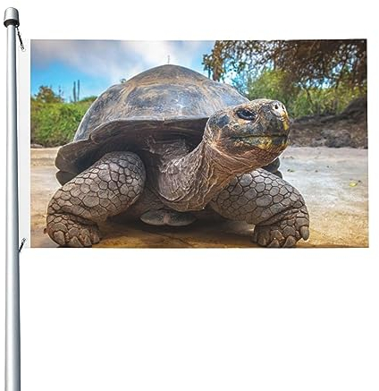 Große Schildkrötenflagge, 90 x 152 cm, lustige Outdoor-Banner, Urlaub, Gartenflagge, Willkommensbanner für Zuhause, Garten, Hof, Rasen, Dekoration, Flaggen, Indoor/Outdoor, doppelseitiger Druck