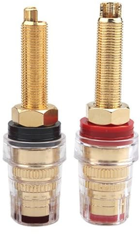 1 paio di morsetti trasparenti per amplificatori e cassa acustica, con alloggiamento per PC