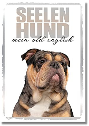 Old English Bulldog 2 Seelenhund Dog Schild Spruch Türschild Hundeschild Warnschild Soulmate