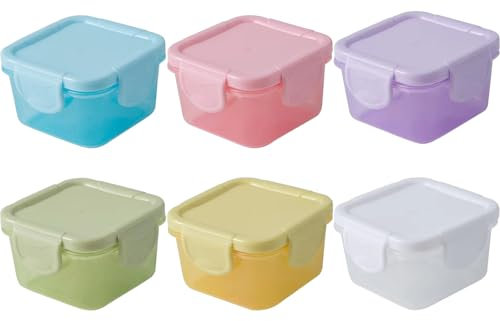 6 Pièces Mini Conteneur de Stockage Alimentaire, Mini Boîtes de Conservation des Aliments, Mini Boîtes de Conservation Hermétiques, Résistant aux Hautes Températures, pour le Stockage des Aliments