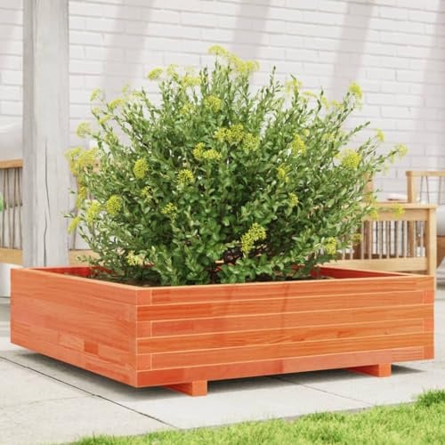RJPLMFV Fioriera da Giardino in Legno per Fiori e Piante, Cassetta Rialzata con Drenaggio, Ideale per Orto e Balcone