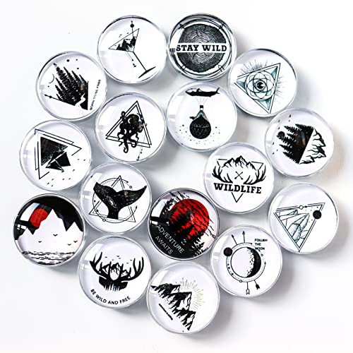 Cosylove 16pcs Kühlschrankmagnete, Kristallglas Kühlschrankmagnete für Büroschränke, Whiteboards, Fotos, schöne dekorative Magnete für zu Hause schmücken (Blumenarm)