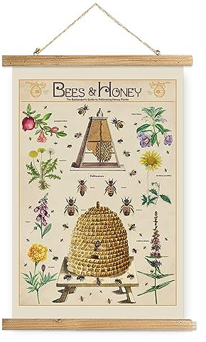 XIAOAIKA Poster Éducatif sur les Abeilles et le Miel - Guide Illustré des Plantes Mellifères avec Cadre en Bois, Décoration Murale pour Apiculteurs et Amoureux de la Nature, 30 x 40 cm