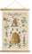 XIAOAIKA Poster Éducatif sur les Abeilles et le Miel - Guide Illustré des Plantes Mellifères avec Cadre en Bois, Décoration Murale pour Apiculteurs et Amoureux de la Nature, 30 x 40 cm