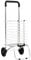 Panana Foldable Shopping Trolley Cart Grocery 2 Wheels Steel Grocery Cart Hard Wearing Foldaway for Easy Storage (2wheel)