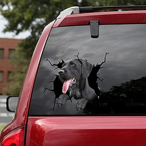 SANTPOT Autoaufkleber Mit Deutschem Drahthaar, Hunde-Autoaufkleber, 2 Stück – Realistische Aufkleber Mit Deutschem Drahthaar Für Autofenster, Wände, Serie 107, Größe 30,5 X 30,5 cm