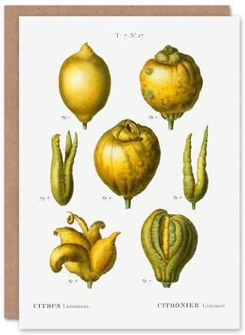 Artery8 Pierre-Joseph Redouté Art Card Lemon Citrus Fruit Vintage Illustration