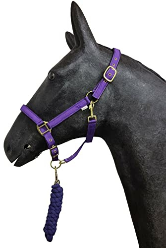 HORSE MASTER Horse Padded Headcollar Lead Rope - Comfortable Stylish Horse Printed Halter with Detachable Leadrope - Stable Yard Equipment for Pony Cob Full and Shetland, Purple