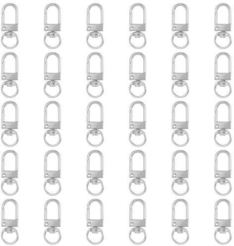 30 Stück Metall Karabiner Schlüsselanhänger, Silber Karabinerhaken mit D-Ring 360° Drehbarem Schlüsselanhänger Verschluss Karabinerverschluss für DIY Basteln Keychain Schlüsselring Stecker (Silber)