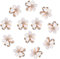 Xzeemo 12 Pièces Mini Pinces à Cheveux, Mini Clips de Griffe, Mini Barrette Clip en Métal, Petites Pinces à Cheveux, Mini Pinces à Cheveux Antidérapantes pour Femmes Filles FêTe Mariage