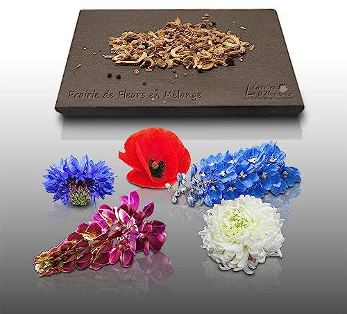 300 graines de Fleurs à semer - Le Grenier d'Abondance - PRAIRIE de Fleurs - En mélange