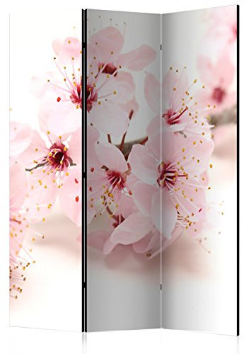 Paravent – Kirschblüte [Room Dividers] [135 x 172]