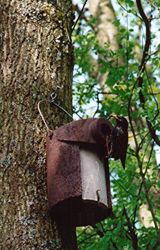 Starennistkasten Starenhöhle 3SV mit Marderschutz