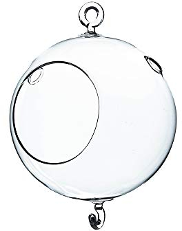 12,7 cm rund Hängepflanze Glas Terrarium/Kerzenhalter mit Haken (6 PCS)