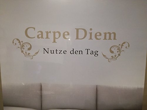 MotoVin Wandtattoo Carpe Diem, Nutze den Tag 150 x 40