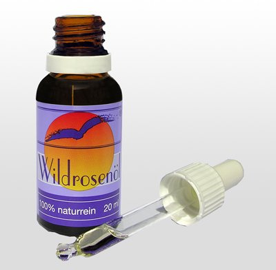 Badestrand Wildrosenöl 20ml, ideale Pflege für Gesicht, Dekolletè und Körper mit Hagebuttenöl