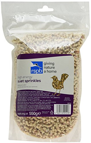 RSPB - Winter Suet Pellets, Wild Bird Food for Small Birds, Robins, and Common Garden Breeds, Raisins & Sunflower Hearts, Suitable for Year-Round Feeding, Made in the UK (High Energy Sprinkles) (550g)
