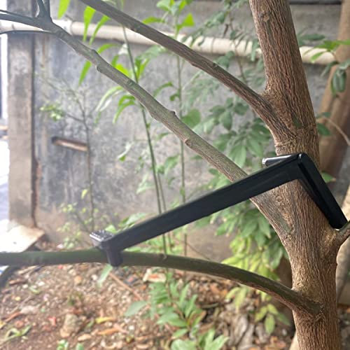 50 Stück Obstbaum-Ast-Gliedmaßen Streuer für starke Spreizung von Schrittwinkeln, Ästen, Kunststoff, Bonsai, Zweig, Stamm, Streuer, Modellierwerkzeug, Schwarz