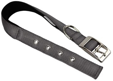Ferplast Hundehalsband, Größe M, Groß, aus gepolstertem Nylon, verstellbare Metallschnalle, Halsumfang 34–42 cm, Grau