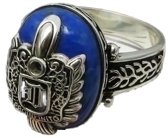 JewelryWe Damon Salvatore D Wappen Vampir-Tageslicht Ring in Sterlingsilber – L
