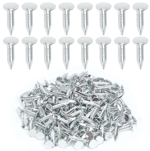 Keadic 300Pcs 3/4 Galvanized Roofing Felt Nails Bulk Set, 20mm Broad Head Pins House Hardware Nail for Roofing Felt Insulation Film Foam Board Asphalt Singles Fastening