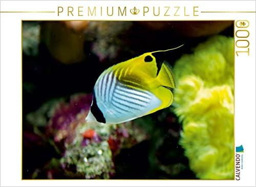 CALVENDO Puzzle EIN Motiv aus dem Kalender Riffbewohner - Bunte Fische, Anemonen und noch viel mehr | 1000 Teile Lege-Größe 64 x 48 cm Foto-Puzzle für glückliche Stunden