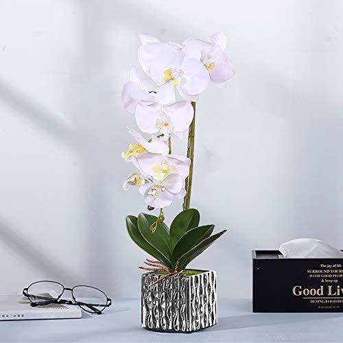 Alicemall Phalaenopsis Artificiel d'Orchidée en Pot de Céramique 22/ 56cm Soie Fleur Artificielle (Blanche)