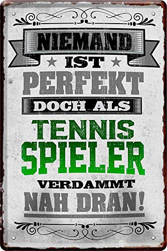 Niemand ist perfekt, doch als Tennisspieler... 20x30 Spruch Deko Blechschild 657