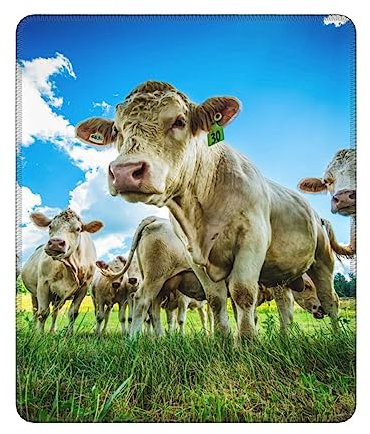 Tapis de souris Vache sur la prairie Tapis de souris antidérapant Tapis de souris de jeu personnalisé Tapis de souris de bureau Tapis de souris d'ordinateur 25,4 x 30,5 cm
