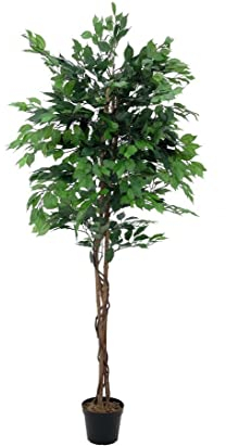 kunstpflanzen-discount.com Kunst Baum Ficus Benjamini mit Multistamm Höhe 210cm - Künstlicher Ficus sehr hochwertig verarbeitet großer Ficus Kunstbaum