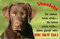 Nanyuk +++ Labrador Retriever - Metall Warnschild Schild Hundeschild Sign - LAB 58 T2 Bra