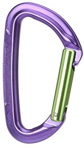 Wild Country Session Straight Karabiner, Purple-Green