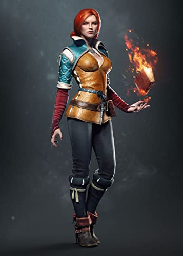 Displate Offiziell Witcher MetallPoster Magnetische Befestigung Inklusive Lizenziert Bilder Hochwertiges Poster Witcher 3 - Wild Hunt Characters - Triss - 67.5 cm x 48 cm