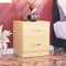 Vida Designs Pino Comodino, 2 cassetti con Maniglie in Metallo e corridori, Sistema Unico con Guide, Riano mobili per Camera da Letto