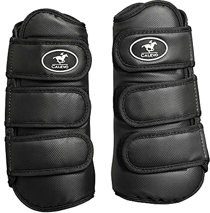 CALEVO - Dressur Gamaschen Protect - Vorne