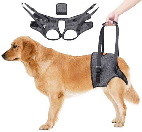 Transporthilfe, Verstellbares Stützgeschirr für die Hinterbeine - Stütz- und Rehabilitationsgurt für ältere und verletzte Hunde, Grau (S)