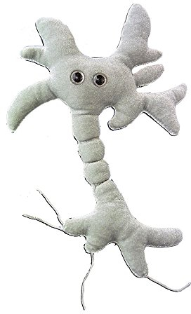 GIANT MICROBES Plüschtier Neuronzelle