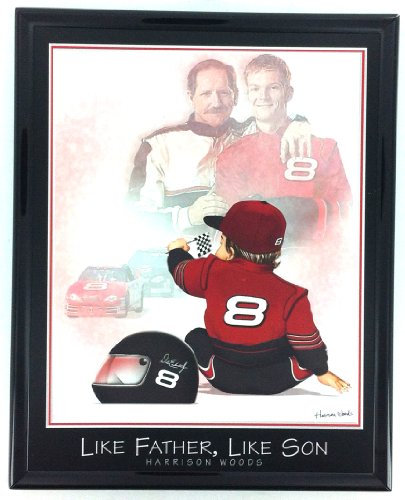 NASCAR Dale Earnhardt Sr und Jr Kunstdruck, gerahmt F6592A